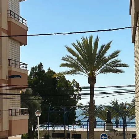Falcones * Santa Pola